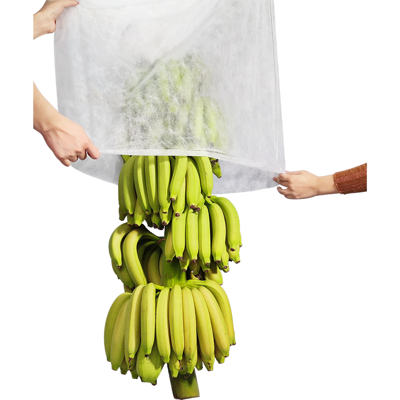 Plantă nețesută acoperire pentru plante de banane țesătură de grădină din grădină