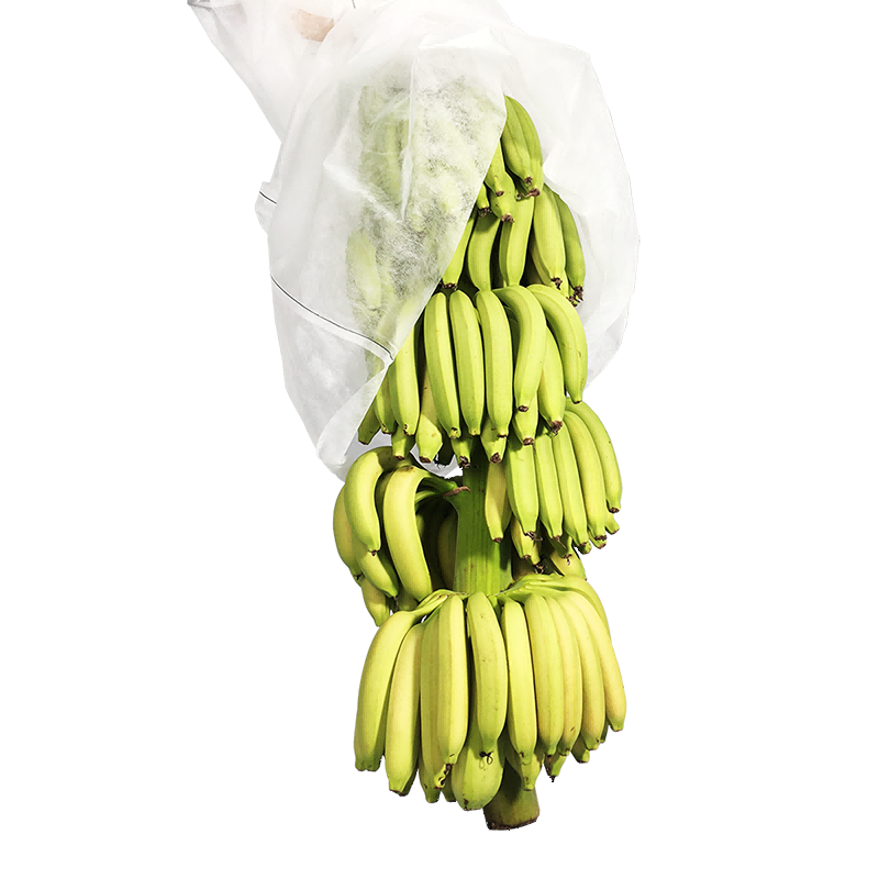Plantă nețesută acoperire pentru plante de banane țesătură de grădină din grădină