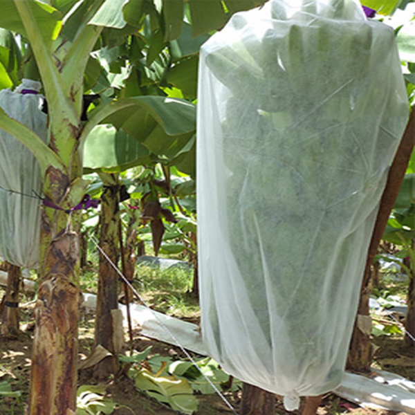 Plantă nețesută acoperire pentru plante de banane țesătură de grădină din grădină