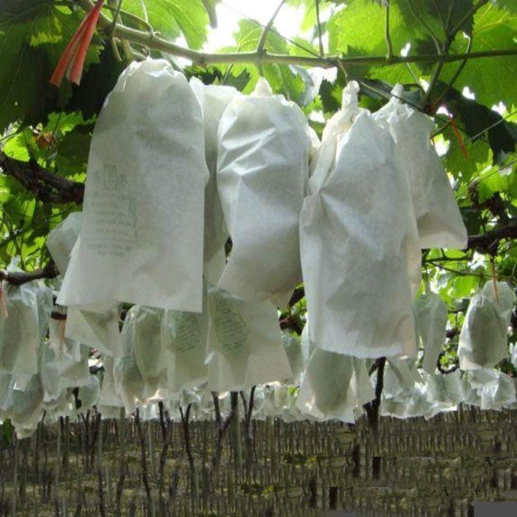 Plantă nețesută acoperire pentru plante de banane țesătură de grădină din grădină
